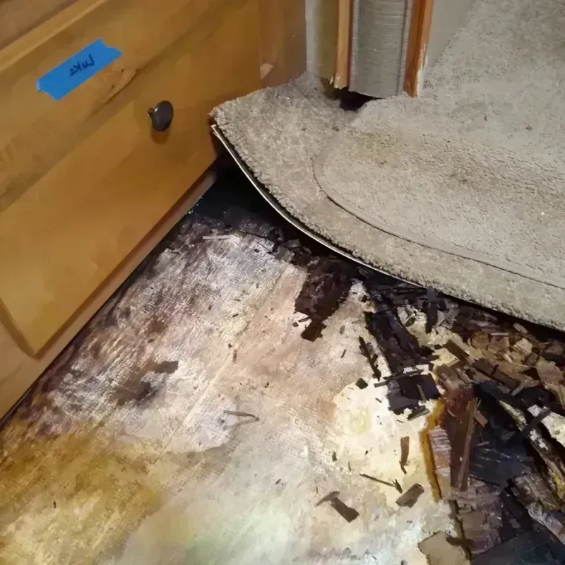 Wood Floor Water Damage in Syracuse, KS